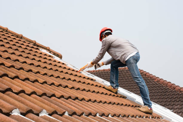 Best Solar Panel Roofing Installation  in Travis Ranch, TX