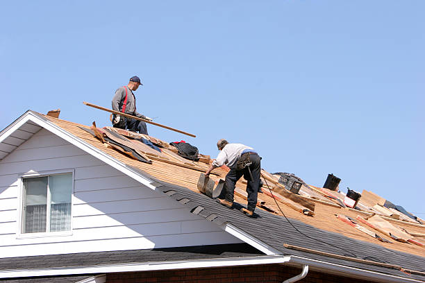 Asphalt Shingles Roofing in Travis Ranch, TX