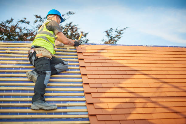 Best Chimney Flashing Repair  in Travis Ranch, TX